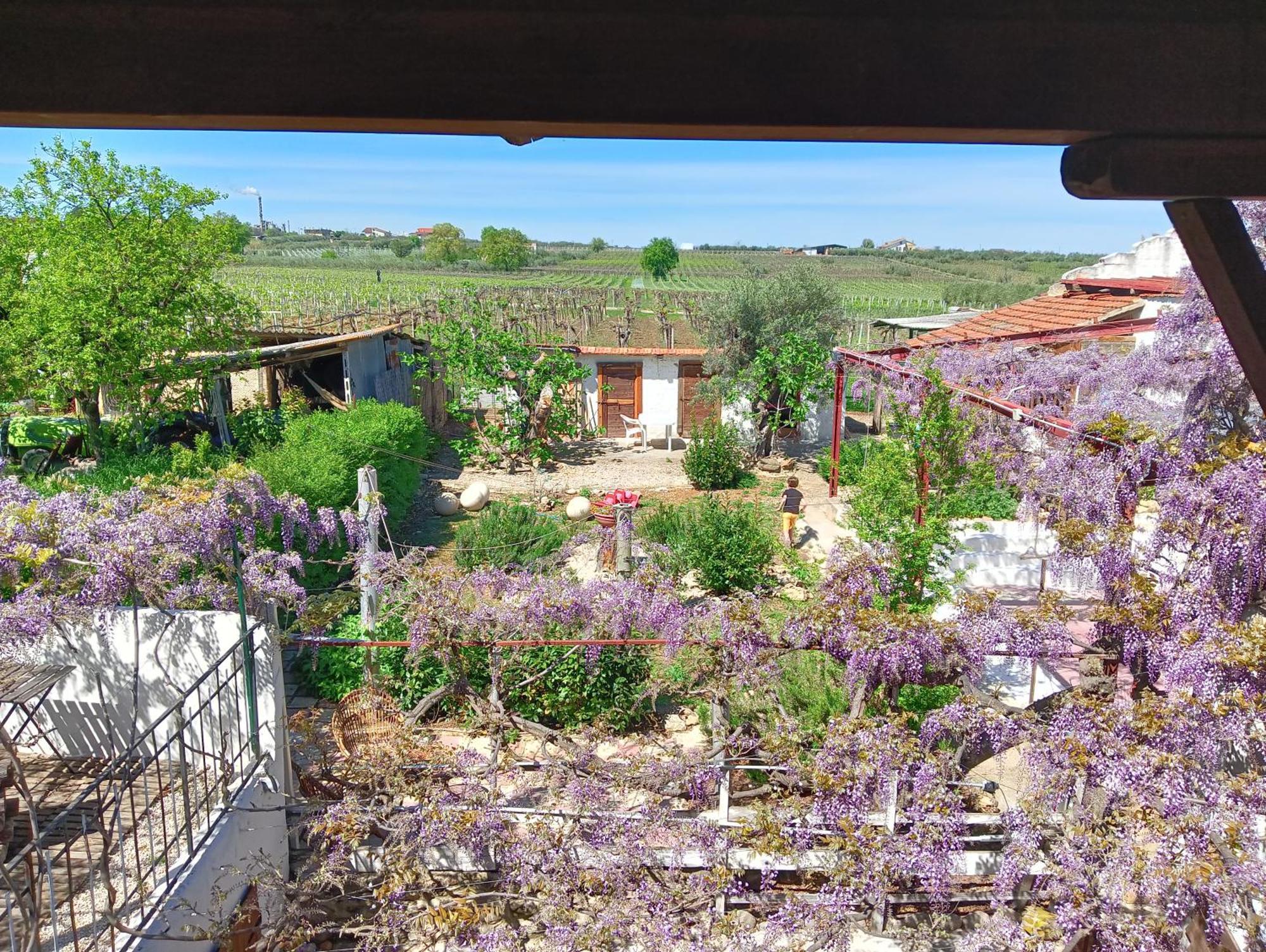 B&B Il Secolo Breve Ortona Extérieur photo